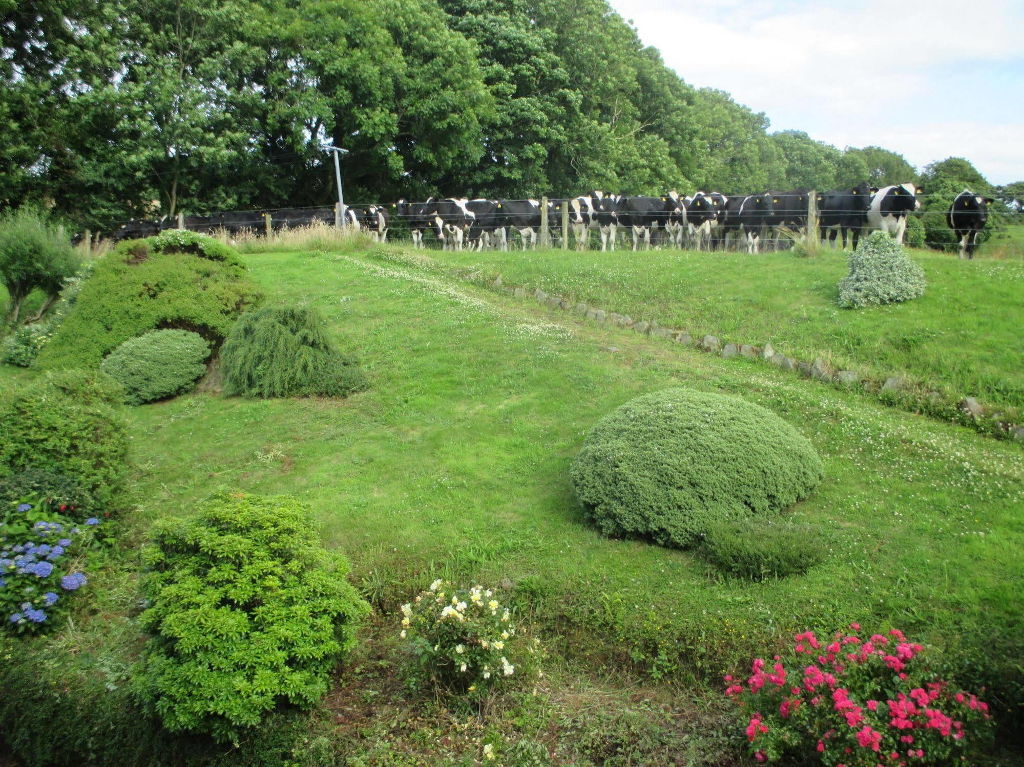 Pk住宿加早餐旅馆 斯奇博瑞恩 外观 照片